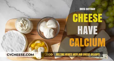 Cottage Cheese Calcium Content: Benefits and Nutritional Value Explained