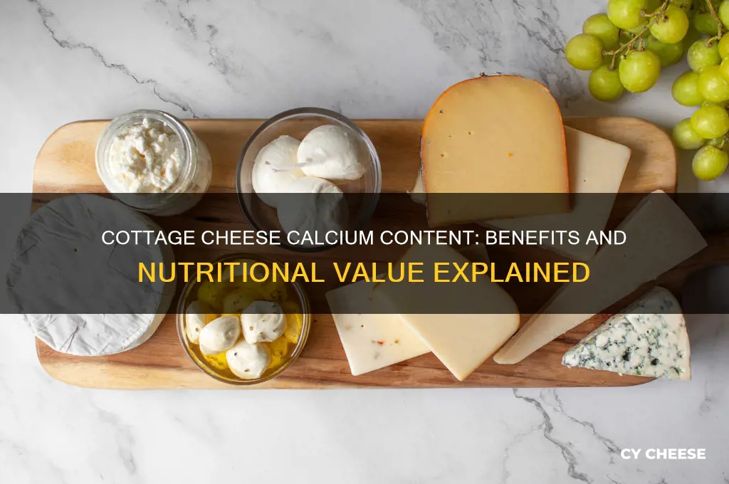 does cottage cheese have calcium