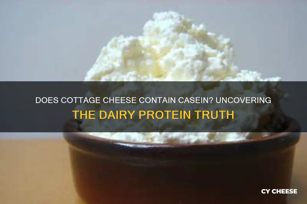 does cottage cheese have casein