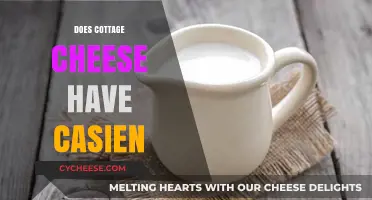Does Cottage Cheese Contain Casein? Uncovering the Truth About Dairy Proteins