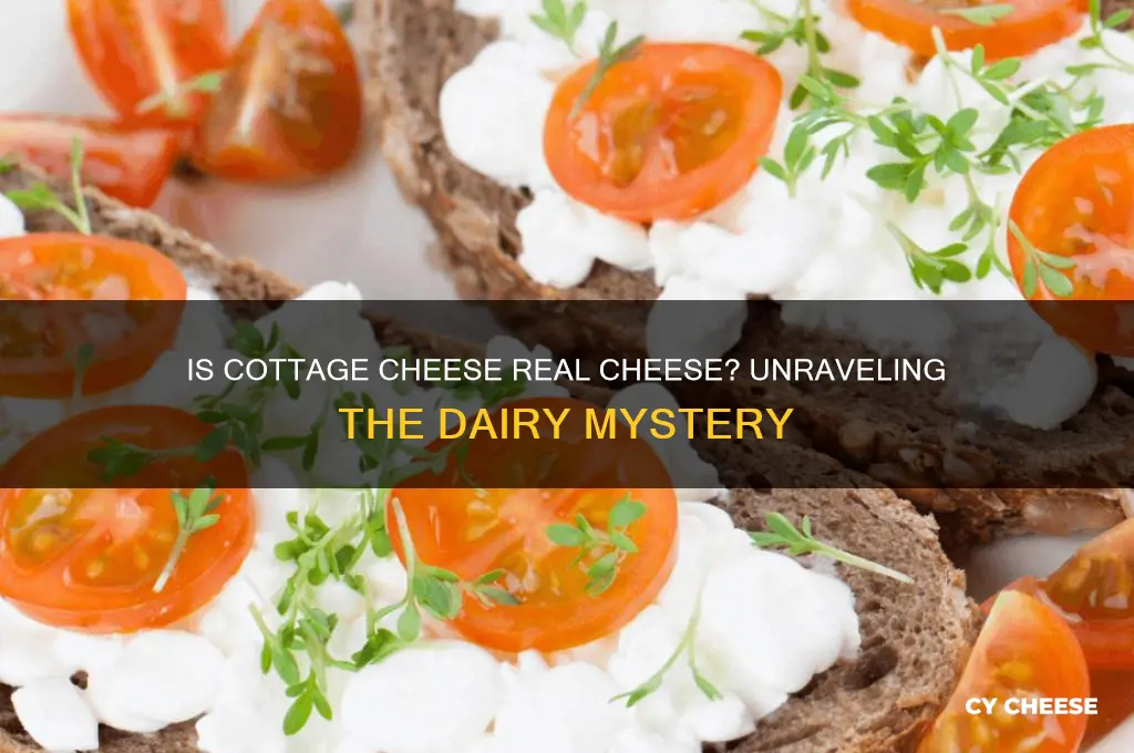 does cottage cheese have cheese in it