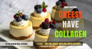 Does Cottage Cheese Have Collagen? Uncovering the Truth About This Dairy Delight