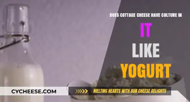 Cottage Cheese vs. Yogurt: Exploring the Role of Live Cultures