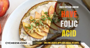 Does Cottage Cheese Contain Folic Acid? A Nutritional Breakdown