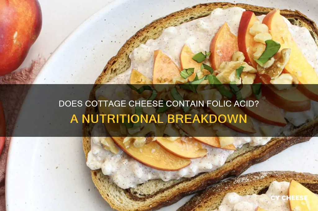 does cottage cheese have folic acid