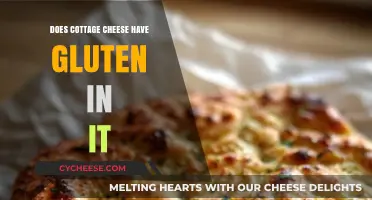 Is Cottage Cheese Gluten-Free? A Complete Guide for Dietary Needs