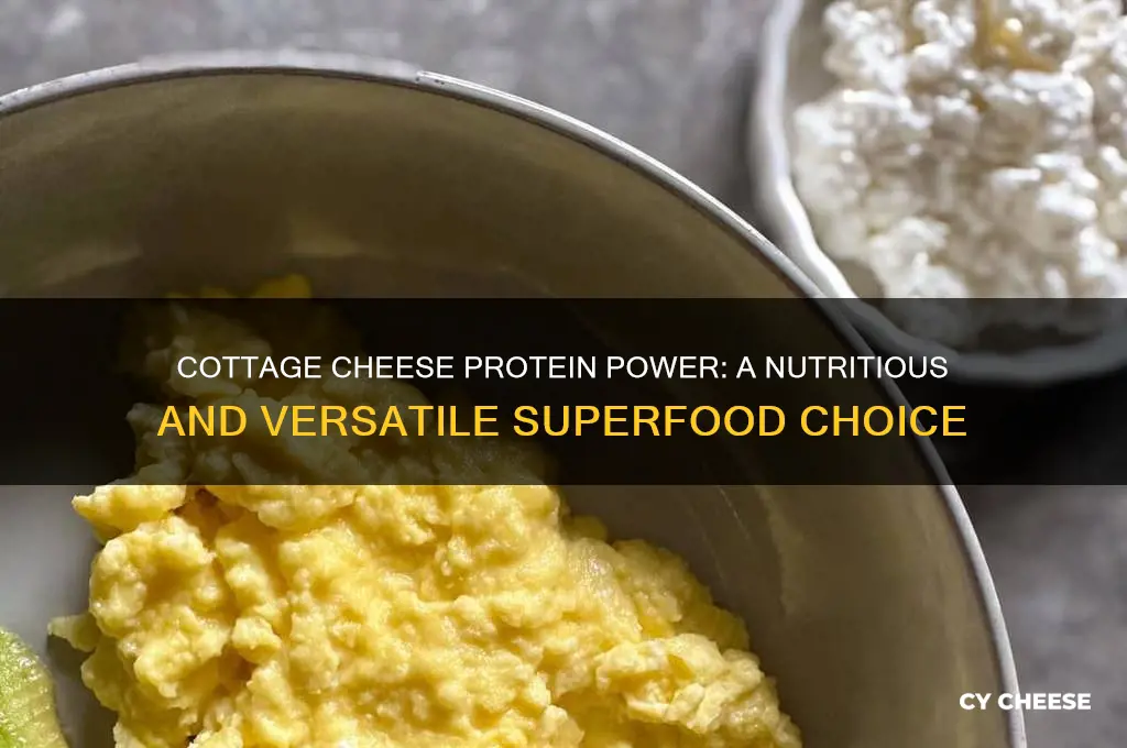 does cottage cheese have good protein