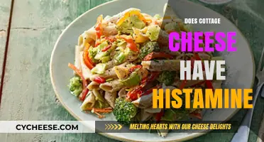 Does Cottage Cheese Contain Histamine? Uncovering the Truth for Your Diet