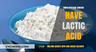 Cottage Cheese and Lactic Acid: Uncovering the Fermented Truth