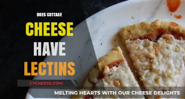 Does Cottage Cheese Contain Lectins? Uncovering the Truth About This Dairy