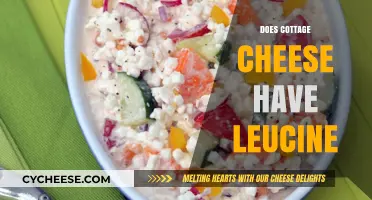 Cottage Cheese and Leucine: Unlocking Muscle-Building Benefits in Your Diet