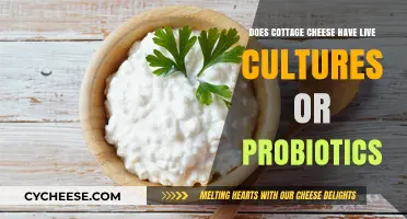 Does Cottage Cheese Contain Live Cultures or Probiotics? Find Out