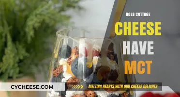 Does Cottage Cheese Contain MCT? Uncovering the Truth About MCTs