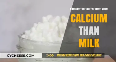 Cottage Cheese vs. Milk: Which Offers More Calcium for Your Diet?