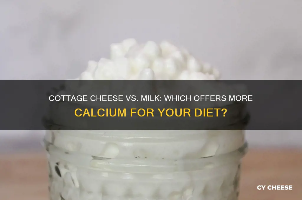 does cottage cheese have more calcium than milk