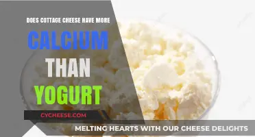 Cottage Cheese vs. Yogurt: Which Offers More Calcium for Your Diet?