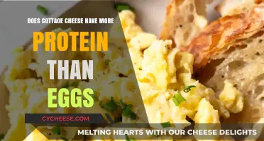 Cottage Cheese vs. Eggs: Which Packs More Protein Power?