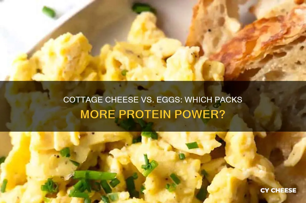 does cottage cheese have more protein than eggs