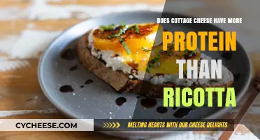 Cottage Cheese vs. Ricotta: Which Cheese Packs More Protein?