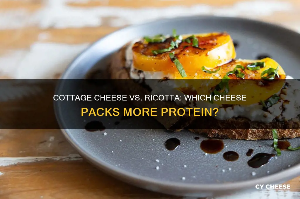 does cottage cheese have more protein than ricotta