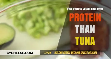 Cottage Cheese vs. Tuna: Which Protein Source Packs More Punch?