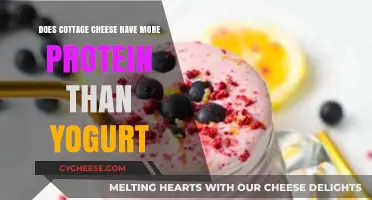 Cottage Cheese vs. Yogurt: Which Packs More Protein?
