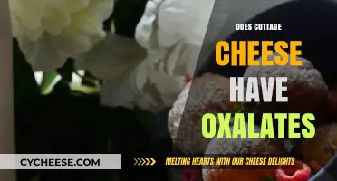 Cottage Cheese and Oxalates: What You Need to Know