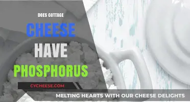 Cottage Cheese and Phosphorus: Uncovering the Nutritional Benefits