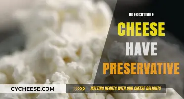 Does Cottage Cheese Have Preservatives? Uncovering the Truth About Additives