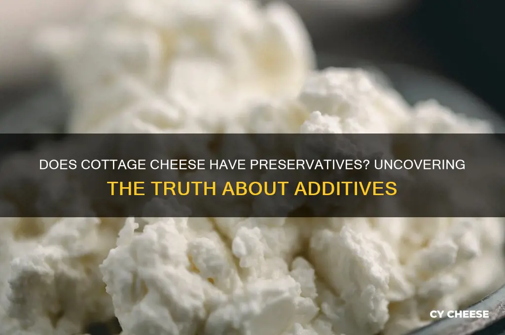 does cottage cheese have preservatives