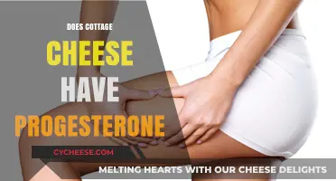 Cottage Cheese and Progesterone: Unraveling the Hormone Myth