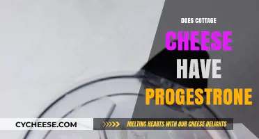 Does Cottage Cheese Contain Progesterone? Unraveling the Hormone Myth