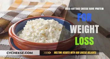Cottage Cheese Protein Power: A Weight Loss Friendly Food?