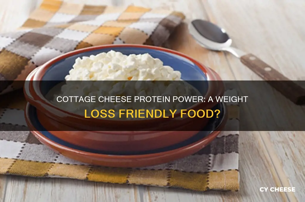 does cottage cheese have protein for weight loss
