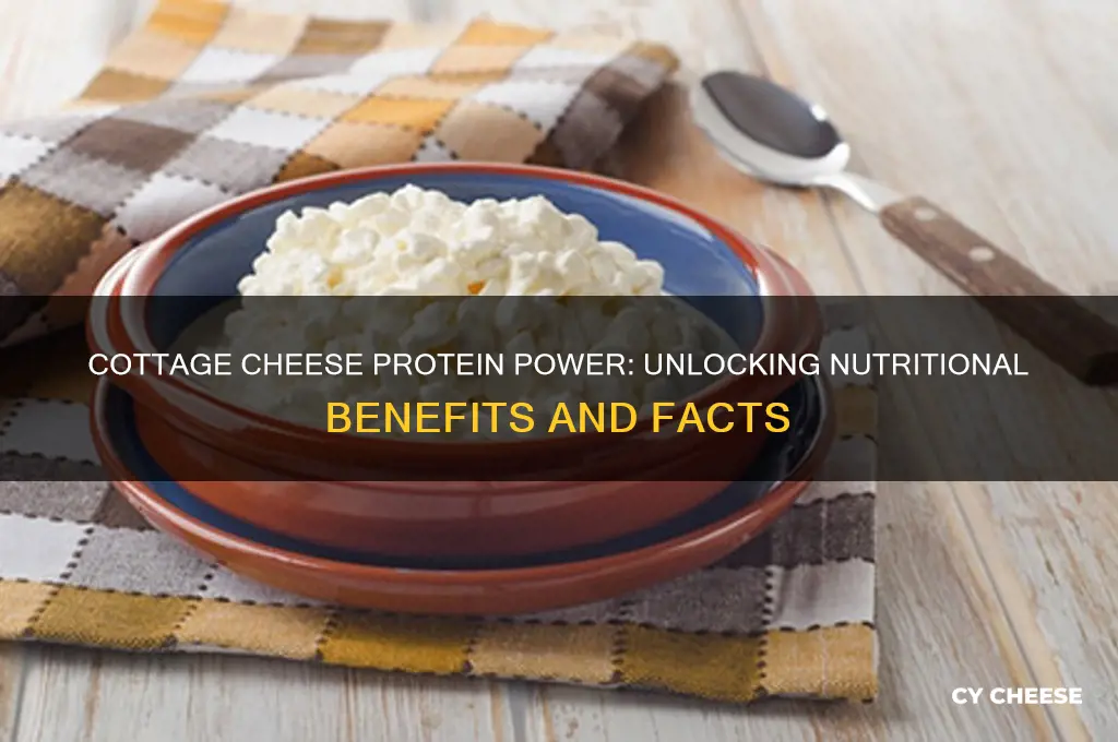 does cottage cheese have protien