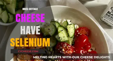 Cottage Cheese and Selenium: Nutritional Benefits and Facts Revealed