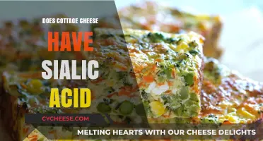 Cottage Cheese and Sialic Acid: Uncovering the Nutritional Truth