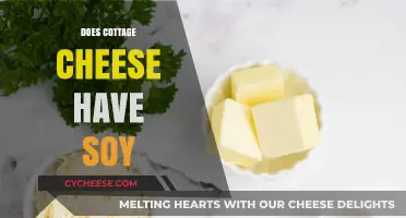 Does Cottage Cheese Contain Soy? A Comprehensive Ingredient Breakdown