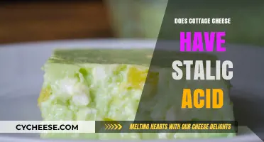 Does Cottage Cheese Contain Salicylic Acid? Facts and Insights
