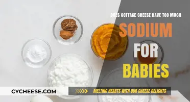 Is Cottage Cheese's Sodium Content Safe for Your Baby?