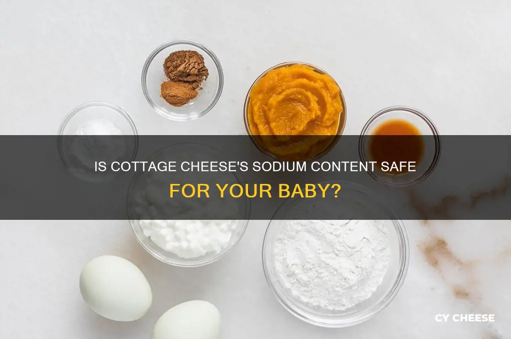 does cottage cheese have too much sodium for babies