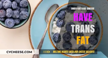 Does Cottage Cheese Contain Trans Fat? Uncovering the Truth