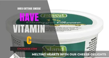 Cottage Cheese and Vitamin C: Unveiling Nutritional Benefits and Facts