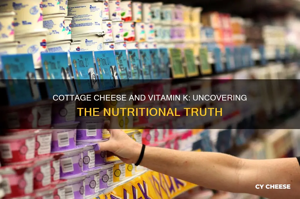does cottage cheese have vitamin k