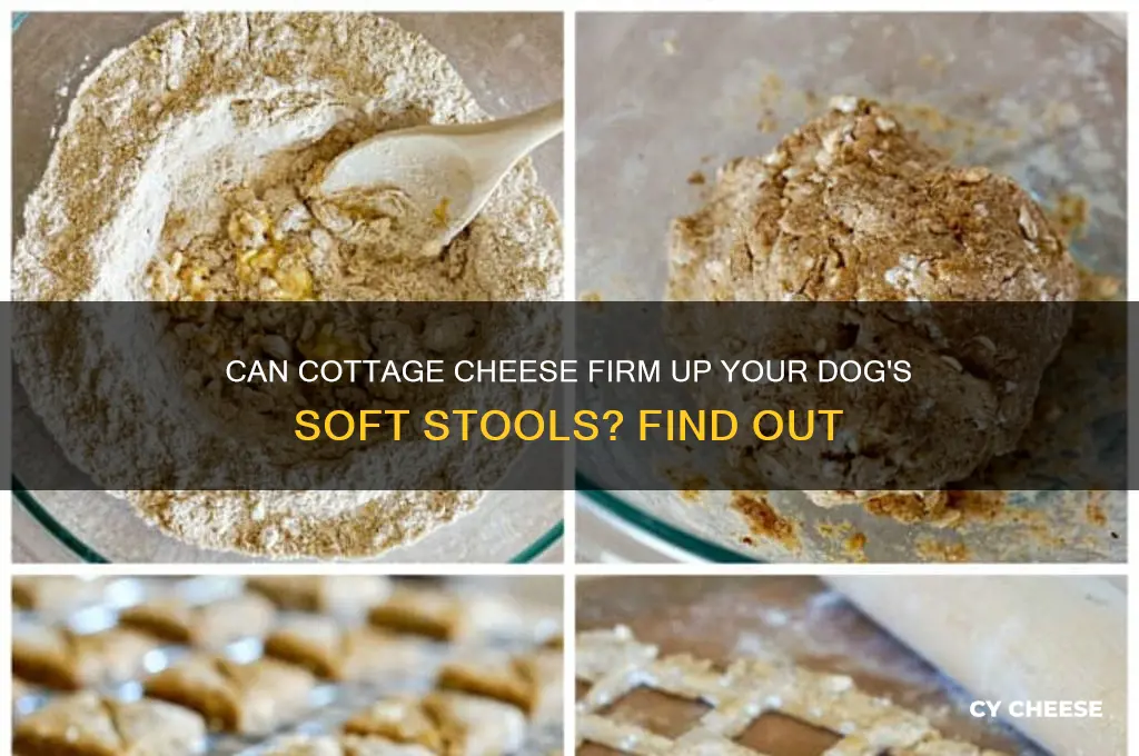 does cottage cheese help a dog with soft stools