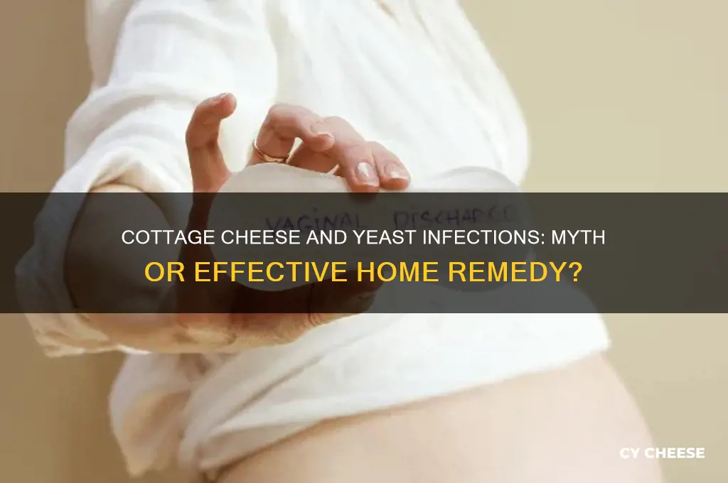 does cottage cheese help a yeast infection