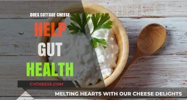 Cottage Cheese and Gut Health: Unlocking Digestive Benefits and Probiotics