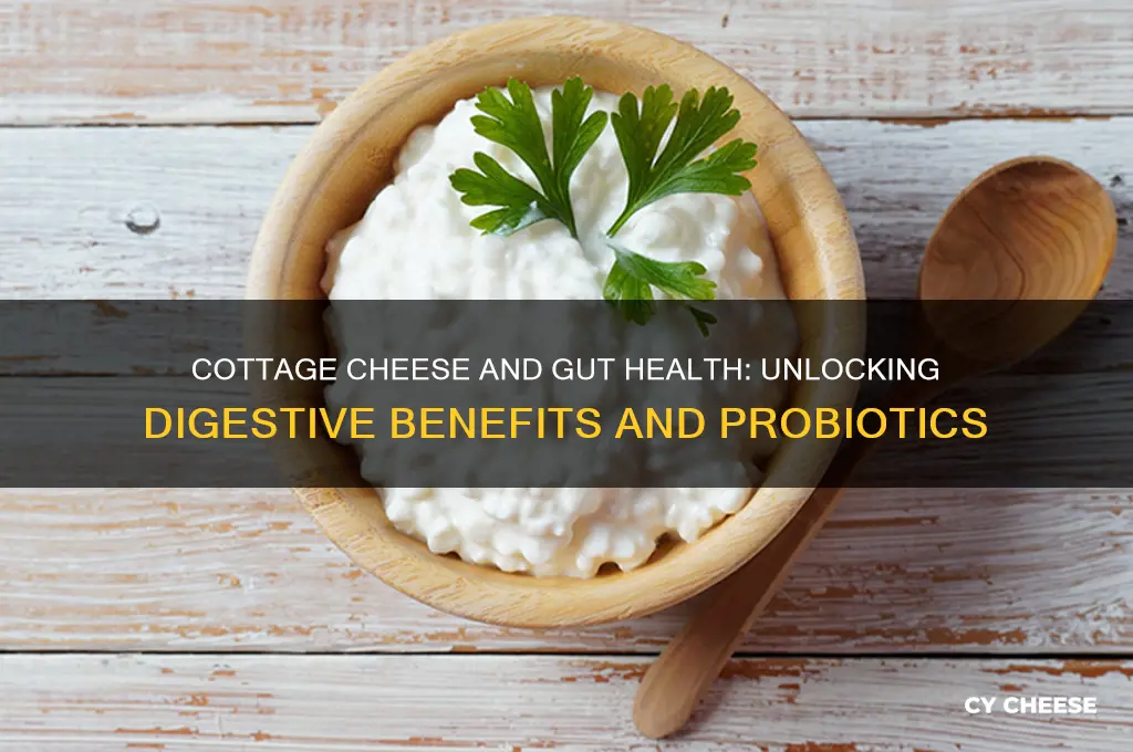 does cottage cheese help gut health