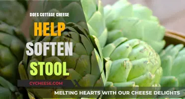 Cottage Cheese and Constipation: Can It Soften Your Stool?
