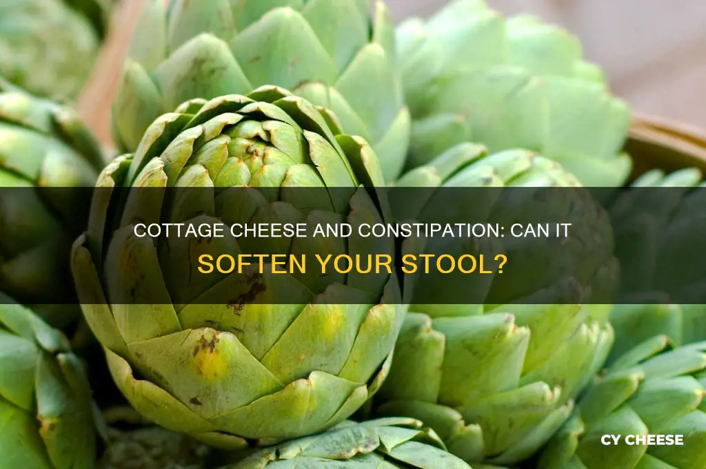 does cottage cheese help soften stool